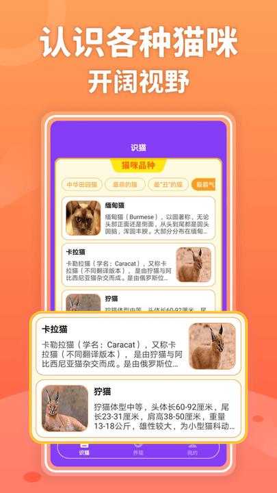 嗨猫猫手机版下载,嗨猫猫,宠物app