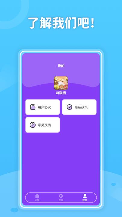 嗨猫猫手机版下载,嗨猫猫,宠物app